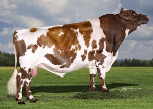 Beaulands Lindt