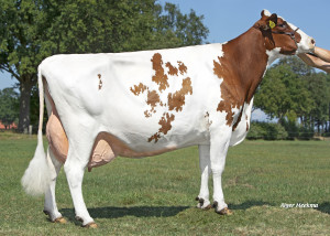 Carambole Red